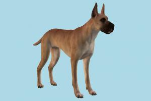 Great Dane Dog Great Dane-2